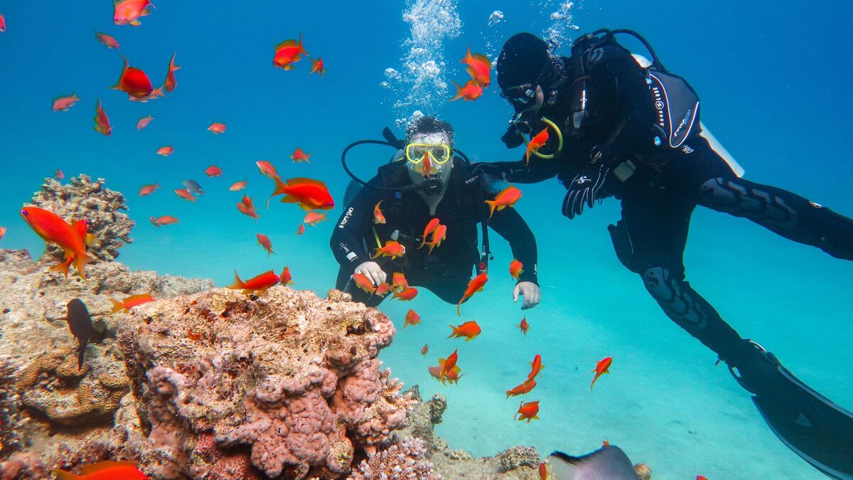 Scuba Diving